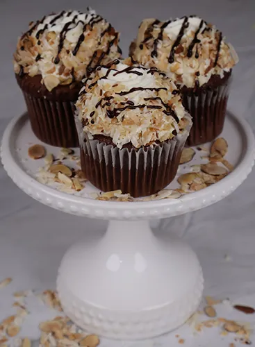 CC-000N Almond Joy Cupcake