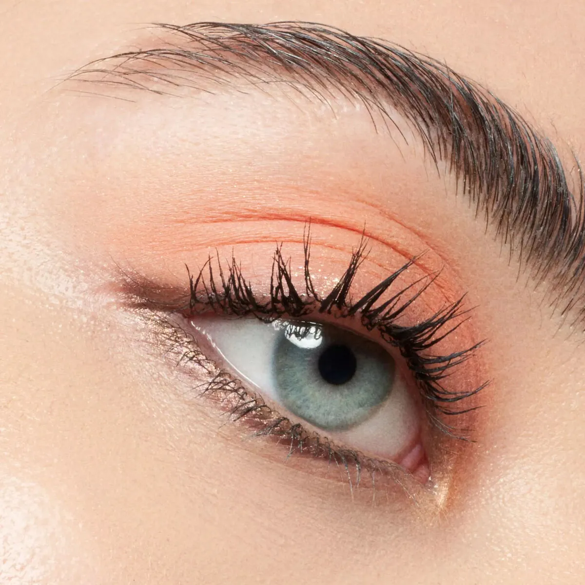 Eyebrow mascara Catrice Colour Fix NÂº 030 Dark Brown 5 ml