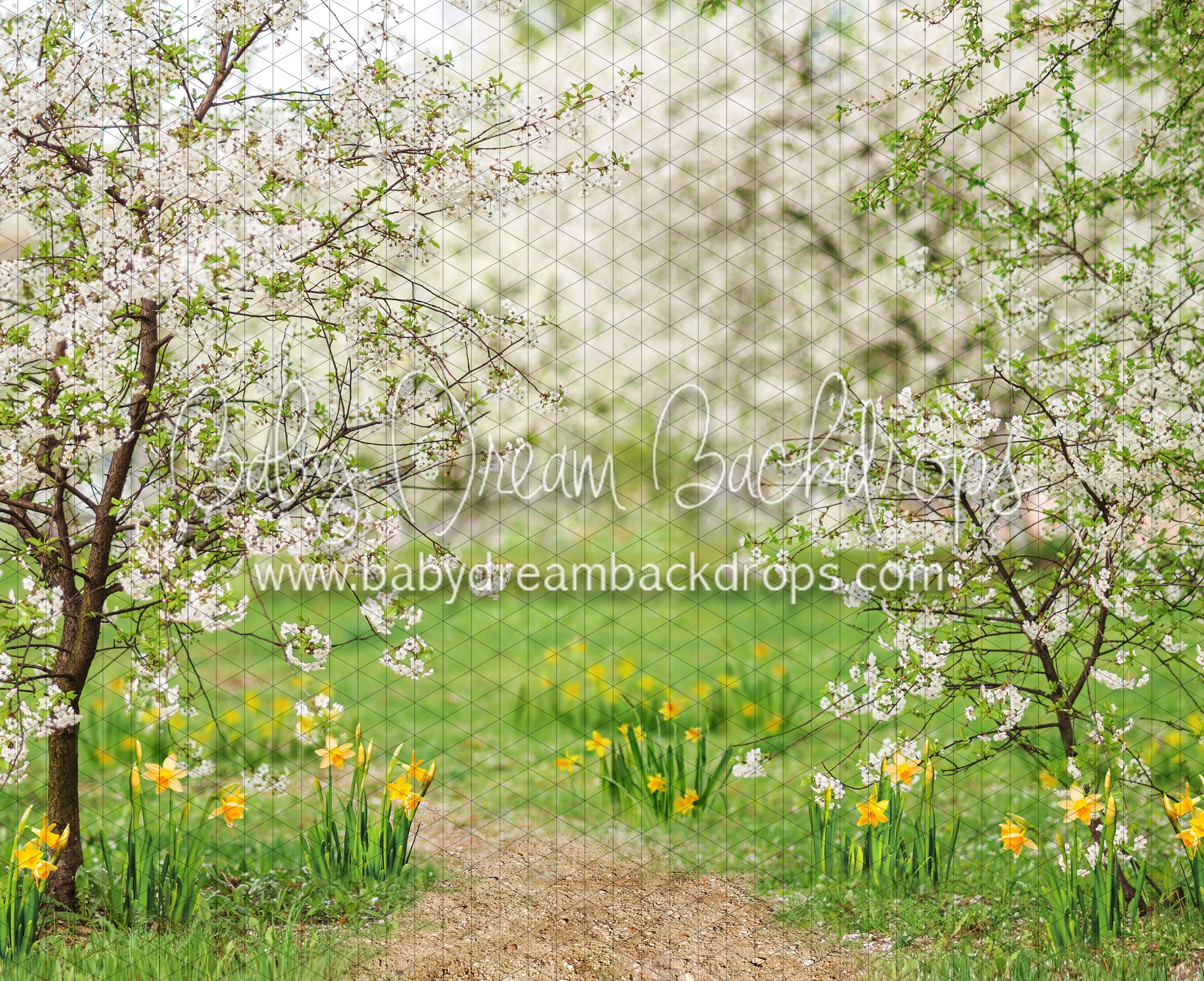 Simple Spring Path (CC)